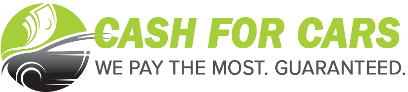 duct cleaning professionals